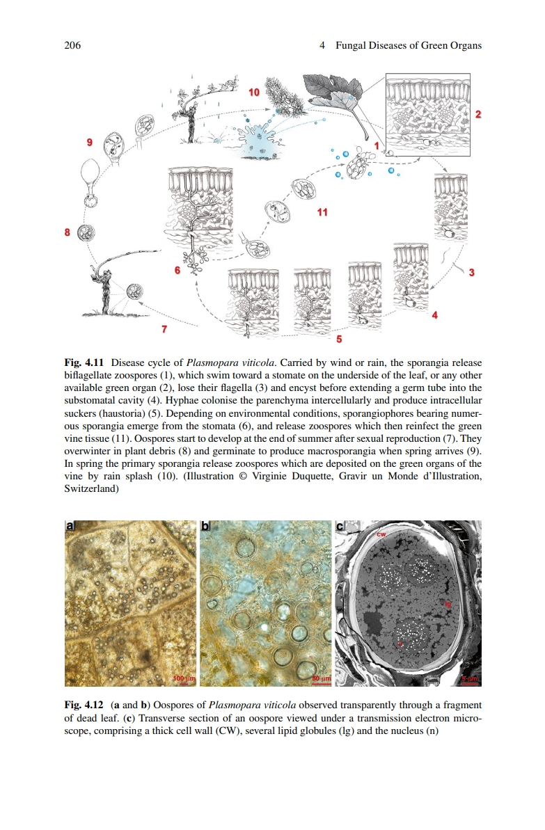 Page 206